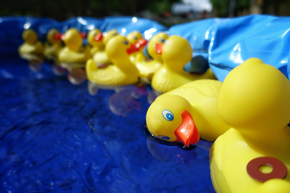 Rubber Duck Race