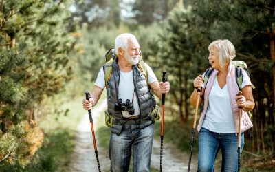 Why Canadian Snowbirds Choose Jellystone Park Zion for Winter Stays