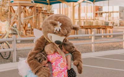 Why Jellystone Park™ Zion Is the Best RV Resort in Southern Utah