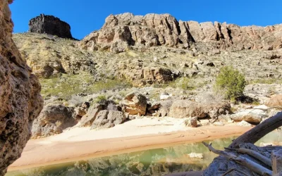 Why Snowbirds Love Winter at Jellystone Park™ Zion: Your Warm-Weather Basecamp in Southern Utah