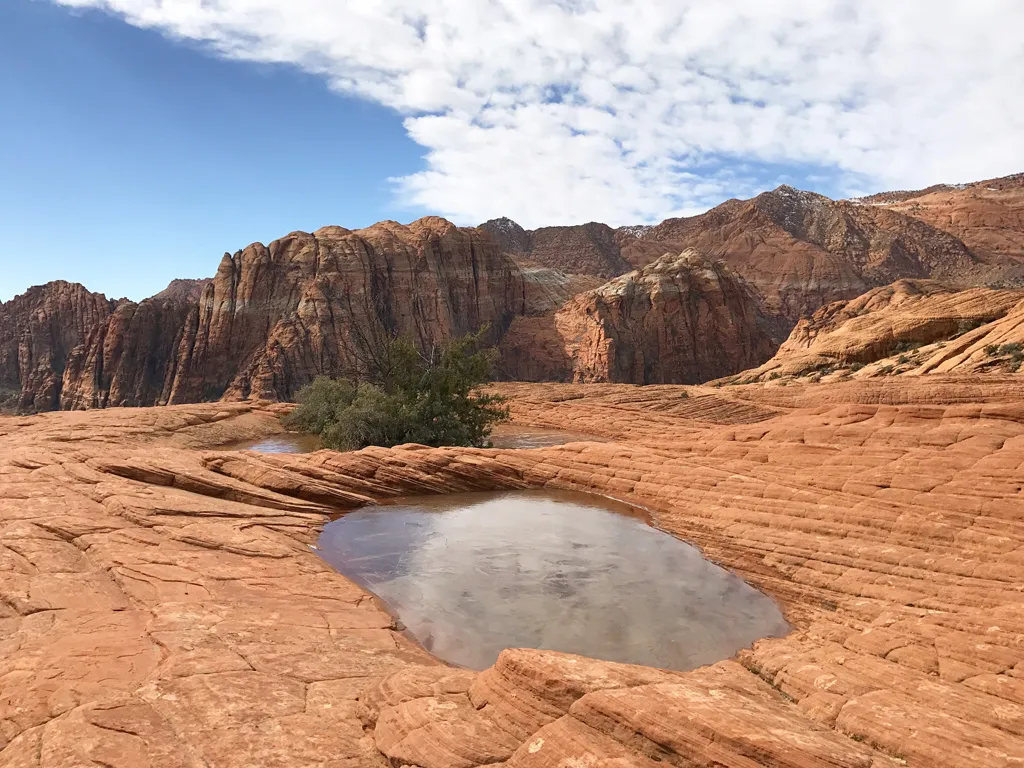 petrified-dunes-snow-canyon-27